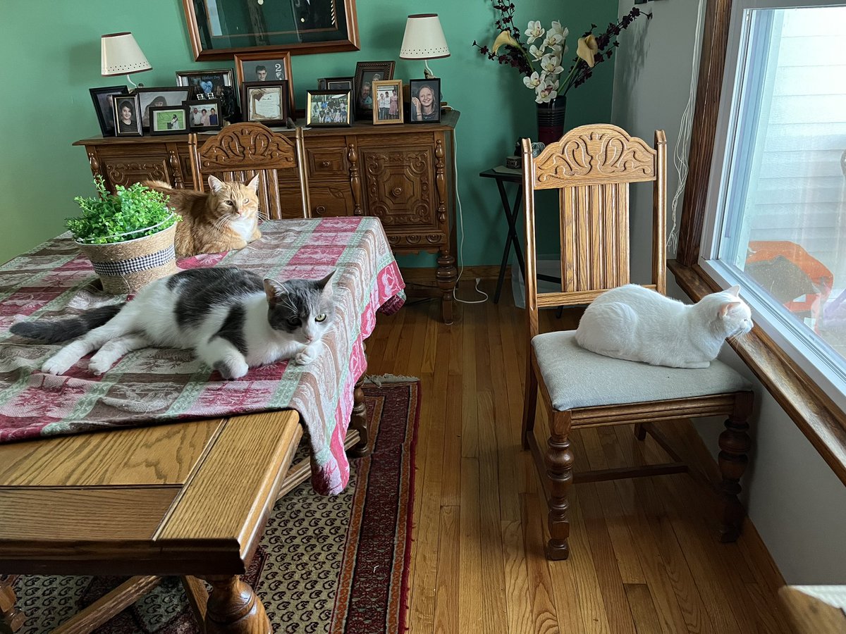 craig mehr tweet media