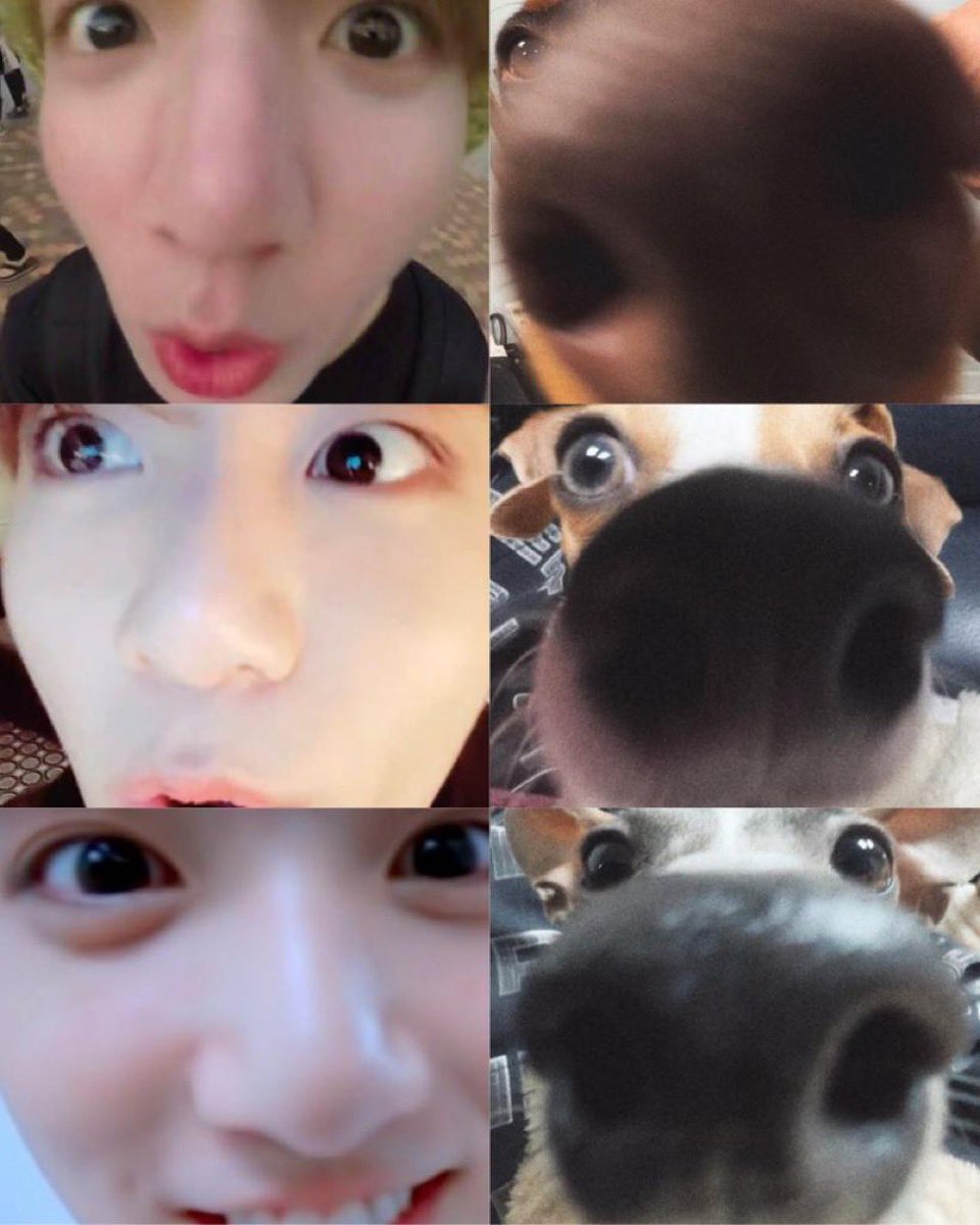 onlyarmytrickk's tweet photo. — RT para ganar mutuals Only Army —
#Butter #BestMusicVideo #iHeartAwards https://t.co/AJw0iQq4pc
