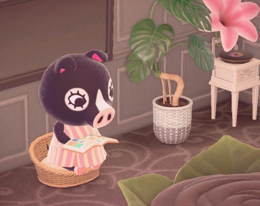 pastellyangel's tweet photo. Agnes is coming to live at my Island ! so excited! she's so so cute!! ♡^-^ #ACNH #acnhagnes #acnhvillagers #AnimalCrossing #newhorizons #NintendoSwitch who's your favourite villager!? 🥺♡ https://t.co/WDAswYjQEK