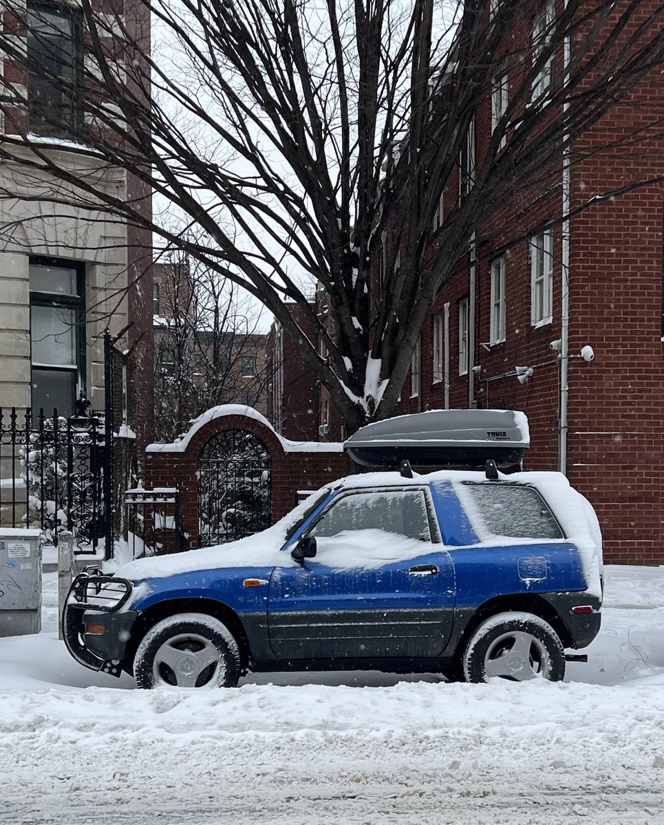 OnlyHams Top .01% Creator tweet media