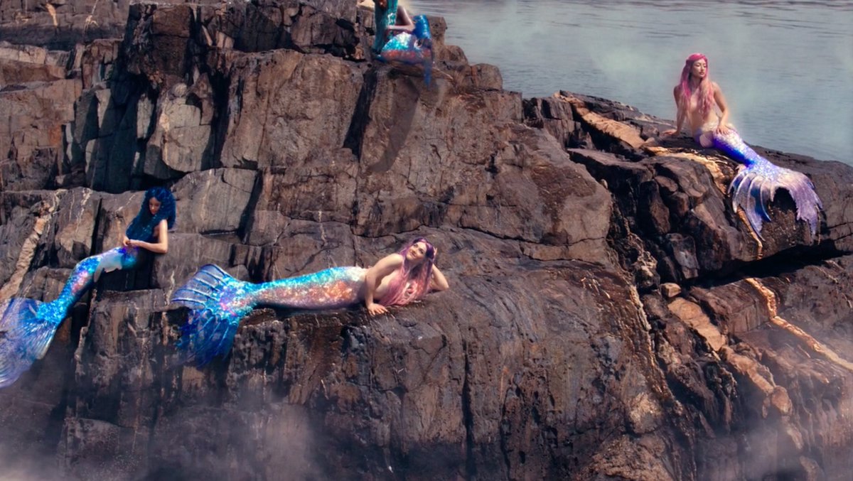 provencenewyork's tweet photo. Susan  knows
she  is  a  Siren -
and  that  at  a
word  from  her,
Emily  would
forfeit  Righteousness -

🧜‍♀️ (Open Me Carefully, 188 p210) #dickinson #OMC https://t.co/1S19VdudxO