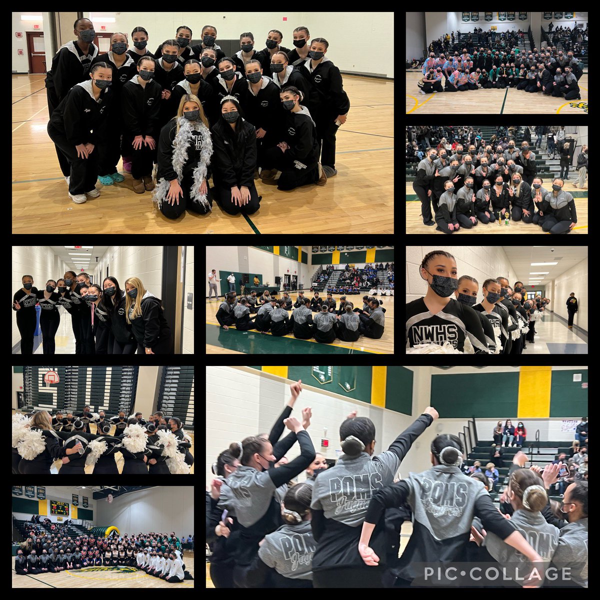 Northwest Poms tweet media