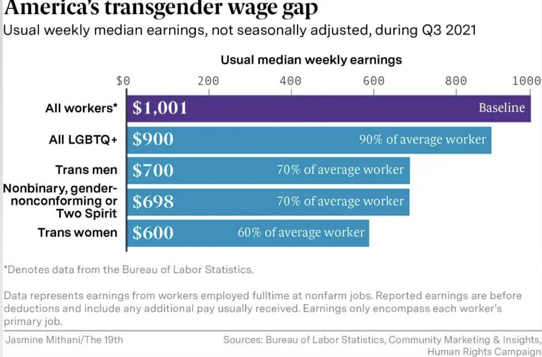 USのトランスジェンダーの賃金水準全労働者の週給中央値が1001ドルであるのに対し，LGBT全体では900ドルで，中でもトランス男性は700ドル，トランス女性は600ドルに留まる。ゲイ/レズビアンはヘテロより賃金が高い。 