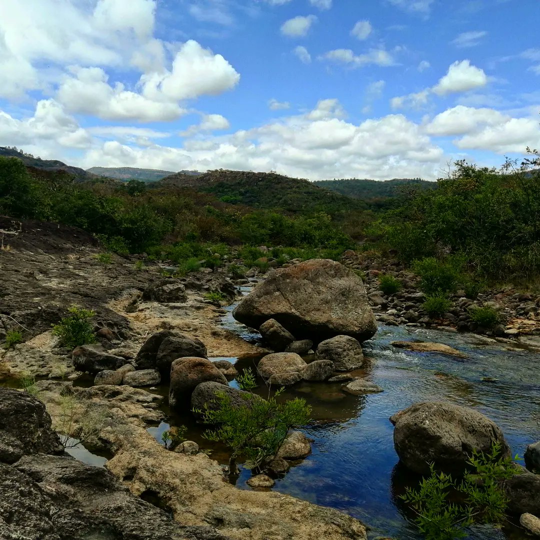fundanaturalez1's tweet photo. Nuestra apuesta es la protección de bosque secundario como estrategia de restauración. Vamos por +#bosque+#BiodiversidadSV+#ConservaciónSV Soluciones basadas en ciencia y naturaleza 🌿🌳 https://t.co/aLCUFohY8V