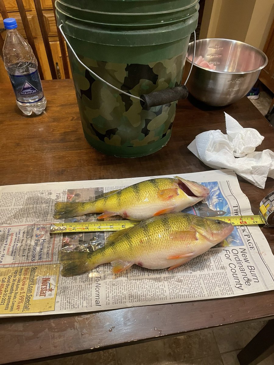 ericdm52's tweet image. Found a couple.