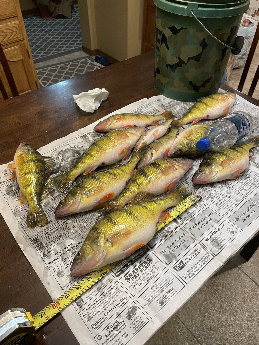 ericdm52's tweet image. Found a couple.