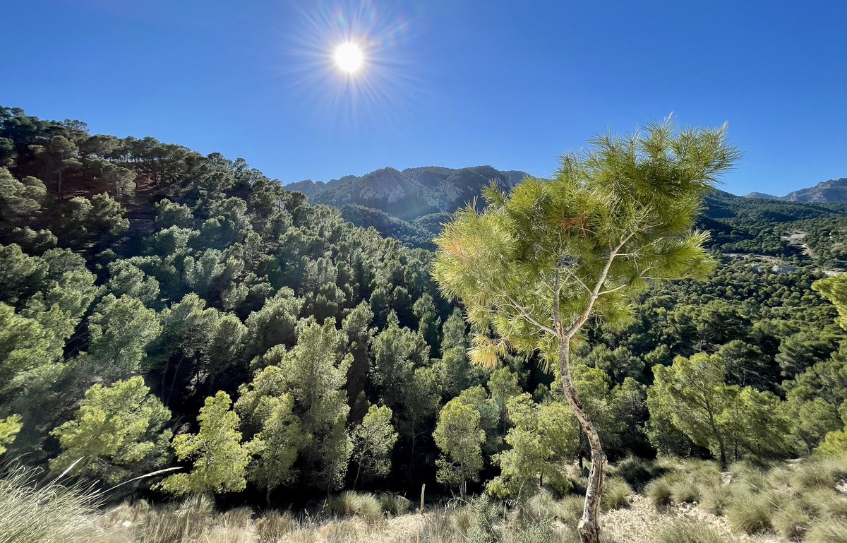 El #ValleDeRicote no es sólo #Huerta.

#RegiónDeMurcia
#Ricote
#nofilter