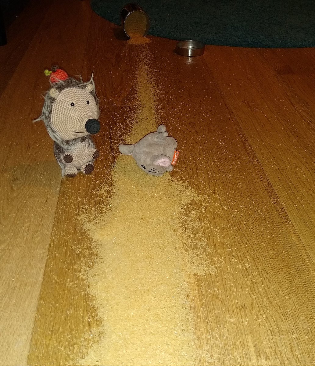 Guys, guys, guys!!! 🤣🤣🤣 In all the excitement about me winning the 'Best Newcomer' award #ETAwards22, one of the hoomans did let the sugar jar fall down and now we are going to have a sugar party!!! 🥳🥳🥳🤣🤣🤣 Mouse and me are beyond happy! 😅☺️🤗