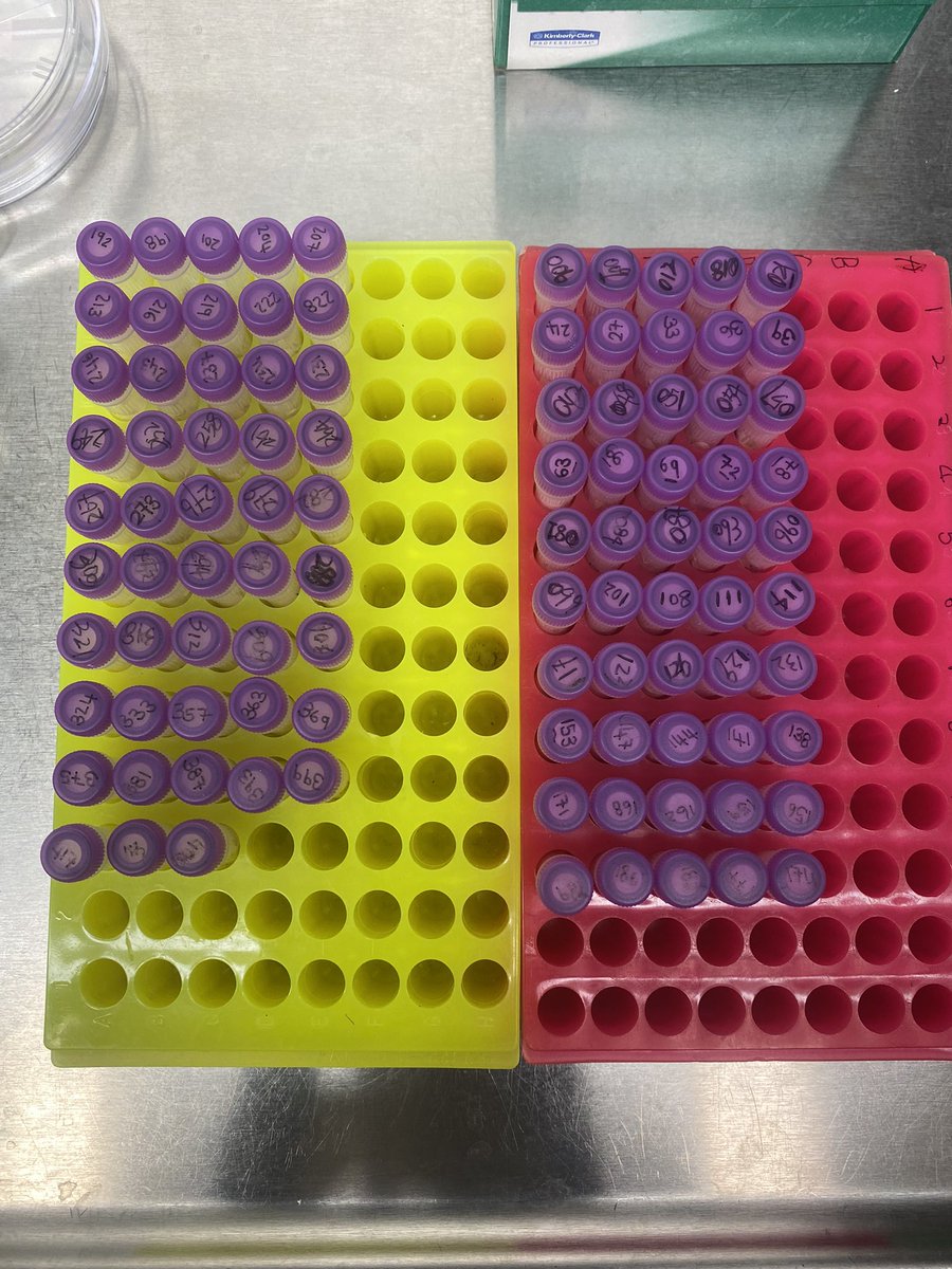 Solize Oosthuizen (Vosloo) tweet media