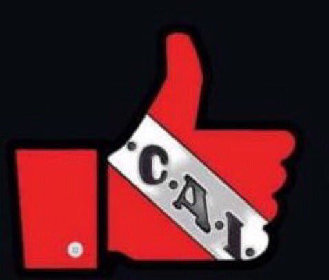 busti y 23 mas tweet media