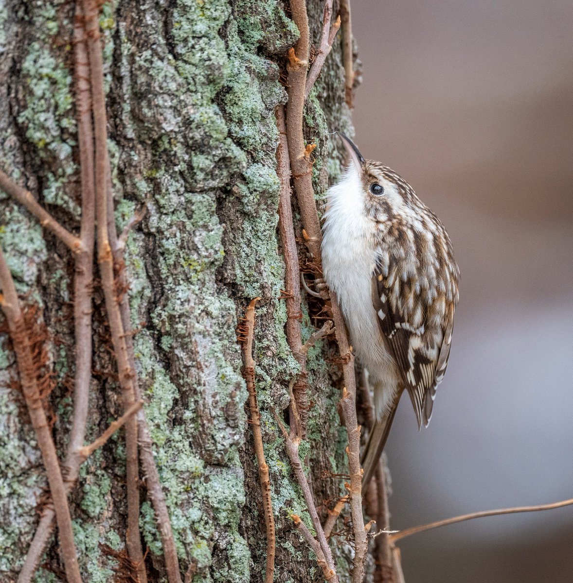 Jocelyn Anderson Photography tweet media