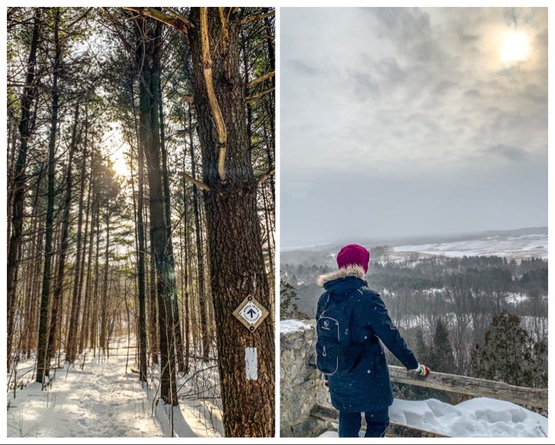 Jeremy Broom tweet media