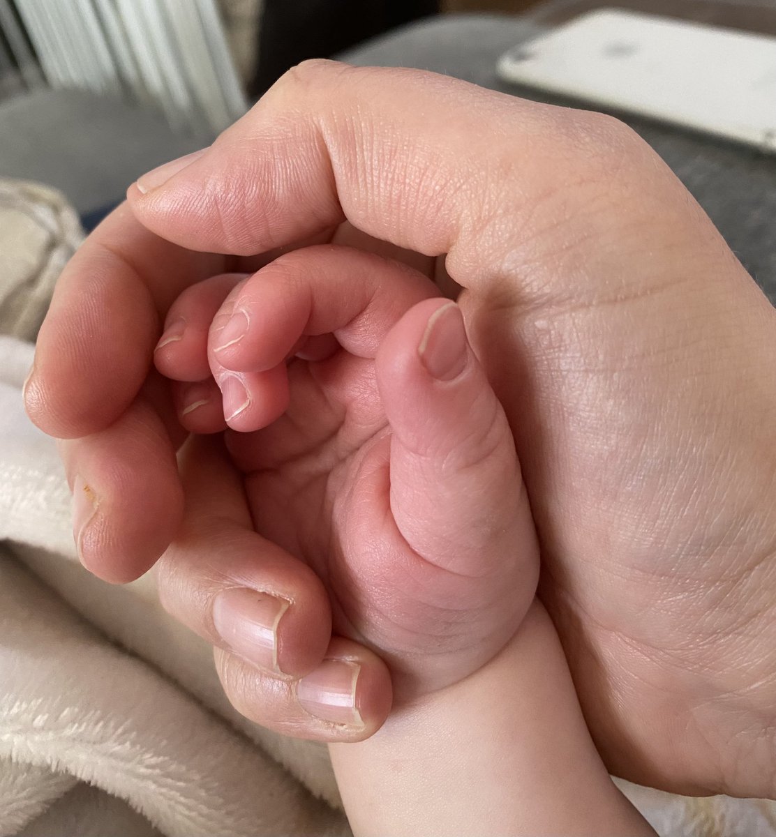 Molly Taylor tweet media