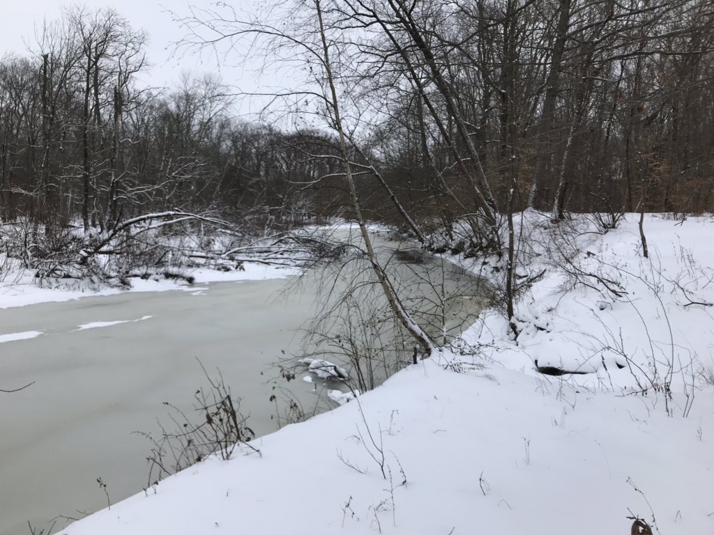 Todd Kelshaw tweet media