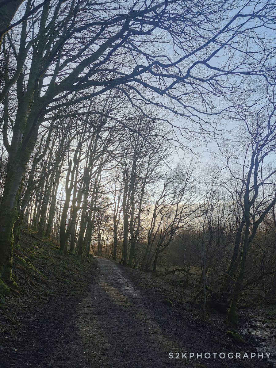 S2kph0t0graphy's tweet photo. Excellent winter walk this afternoon, needed the air after a long busy week. #landscapephotography #scotland #localadventure @BBCWestScot #lochwinnoch https://t.co/cPjuioL1Ei