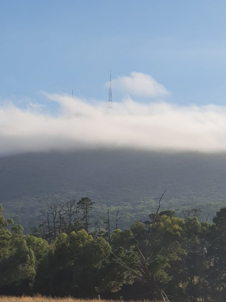 Takeholdpain's tweet photo. Some days, you barely can see through the murkiness of life.
Keep going.
If you are breathing, as Jon Kabat Zinn says, there is more right with you than there is wrong.
#MindfulMountain
#JustBe
#ThisBreath https://t.co/I41ynTAp1F