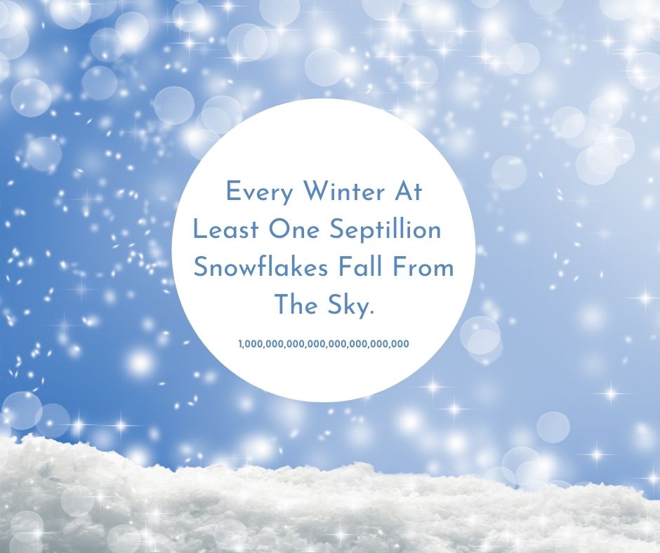MfiInsurance's tweet image. #WinterFunFact #SnowflakeFunFact