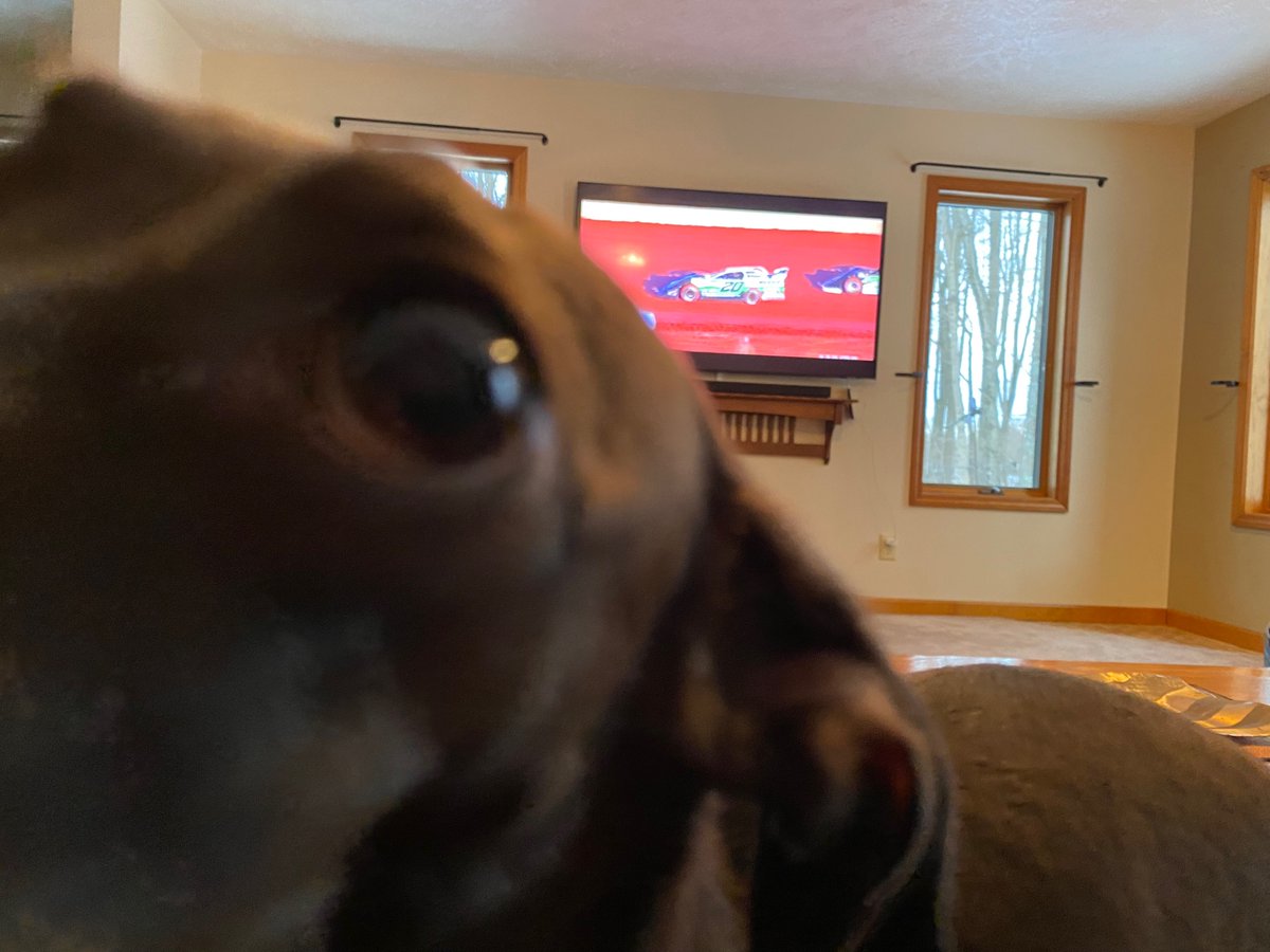 KBindycar's tweet photo. @MAVTV  @lucasdirt @bobdillner  @EssexLucasOil  peanut getting ready to enjoy speedweeks on the new entertainment center https://t.co/2h3H0AwTO9