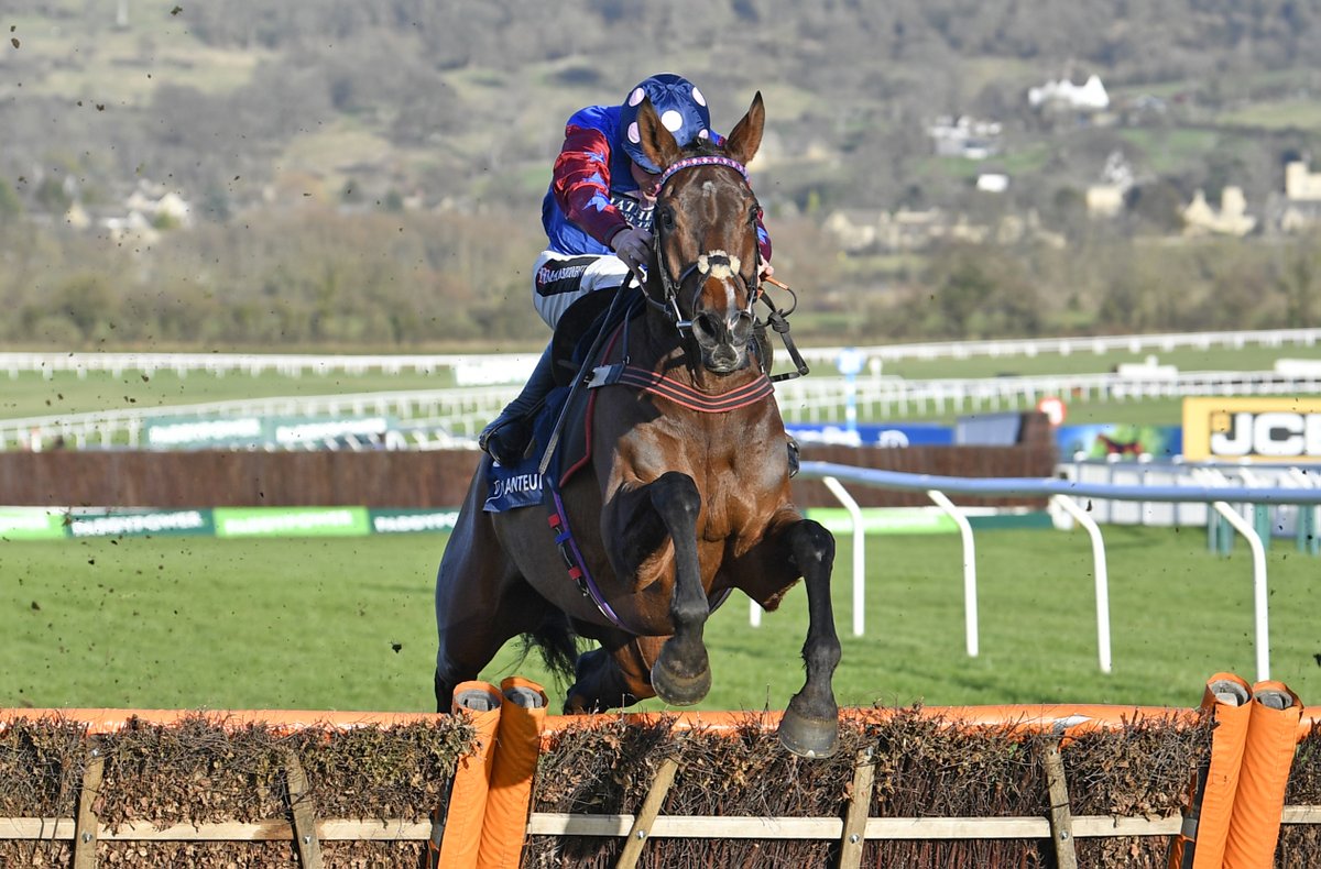 Francesca Altoft tweet media