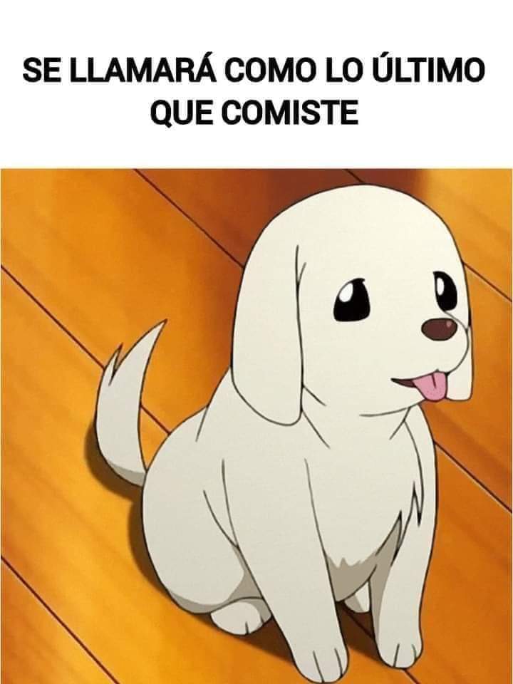 AdxCultura's tweet photo. #Panquesito https://t.co/98it4ezRg1