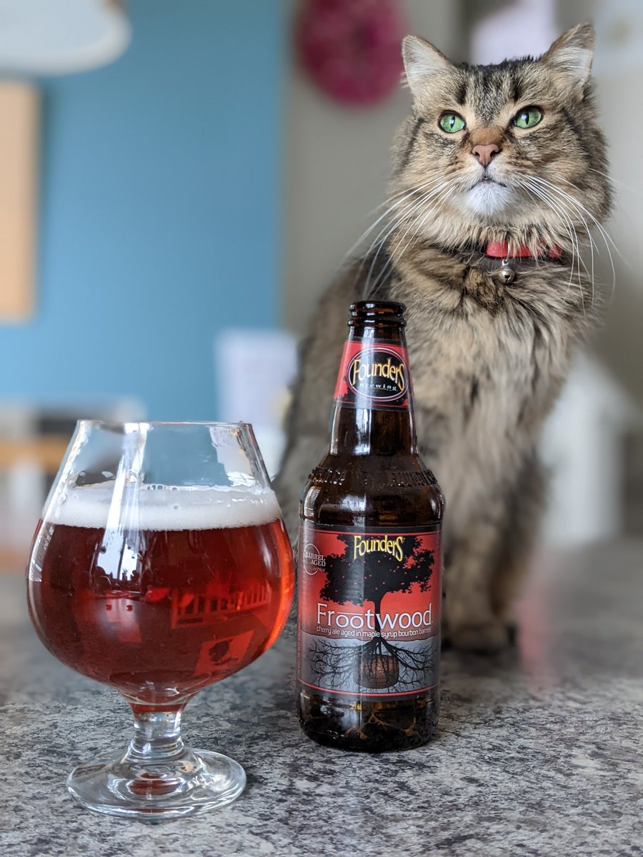 emvmiller's tweet photo. Cellar Raid at home with Elpheba 😻🍒🍻
The only thing we're drinking this weekend is @foundersbrewing
#cellarraid #founders #brewedforus #frootwood https://t.co/DJw1pXMPQz