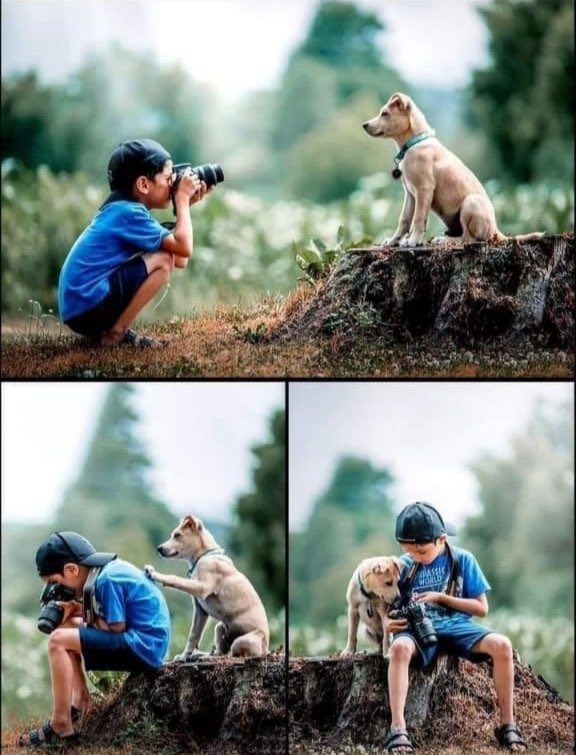 _CNPF's tweet photo. Si los educas con #Amor de grandes no serán peligrosos… 
…los perros tampoco ❤️ https://t.co/WAacvA5nNB