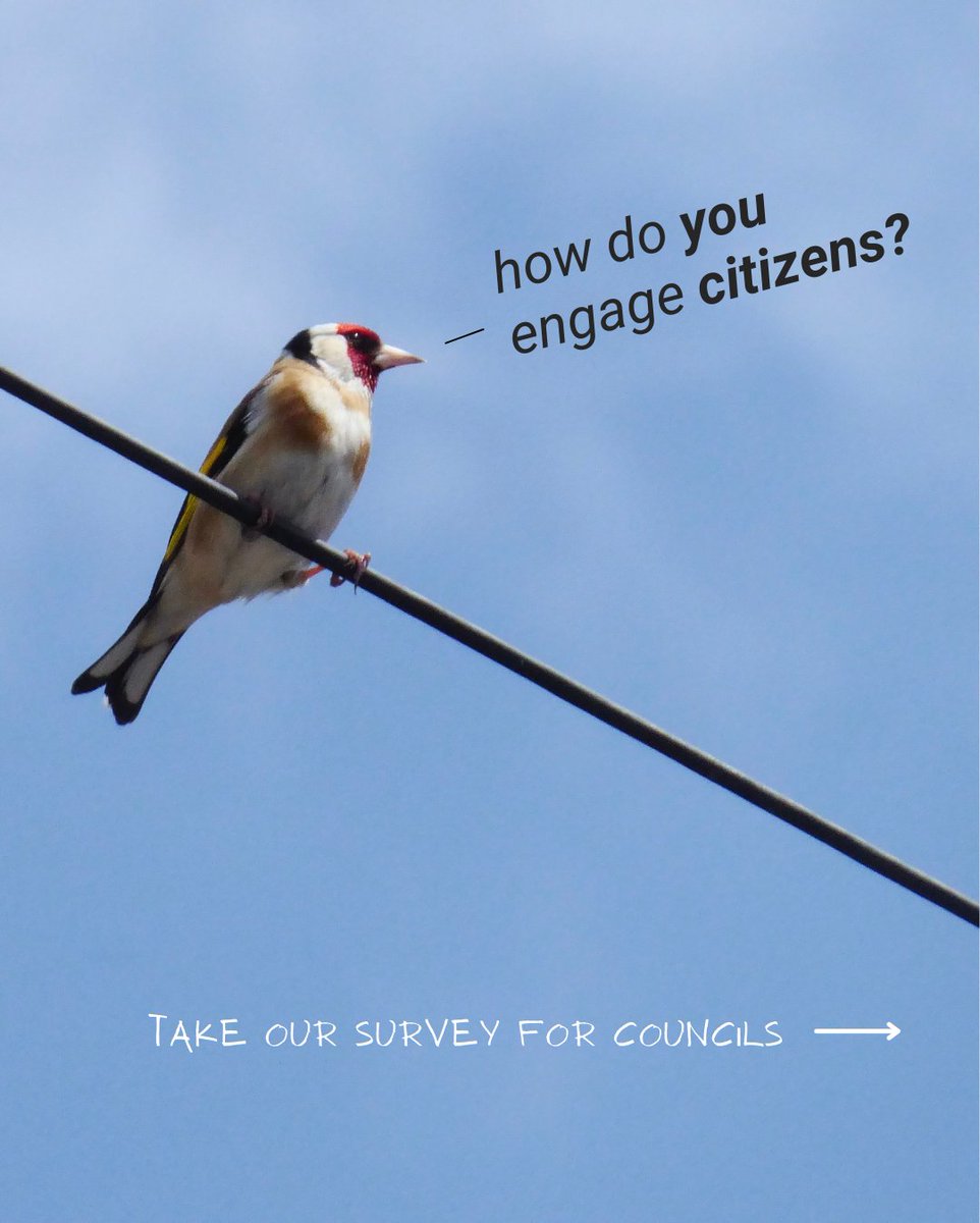 Wild Streets tweet media