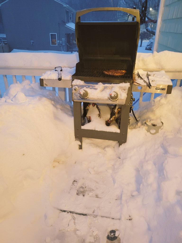 TheStoryShorey's tweet photo. #grillallyear #grillingRI @GrillNewEngland https://t.co/NDmmlsrsSB