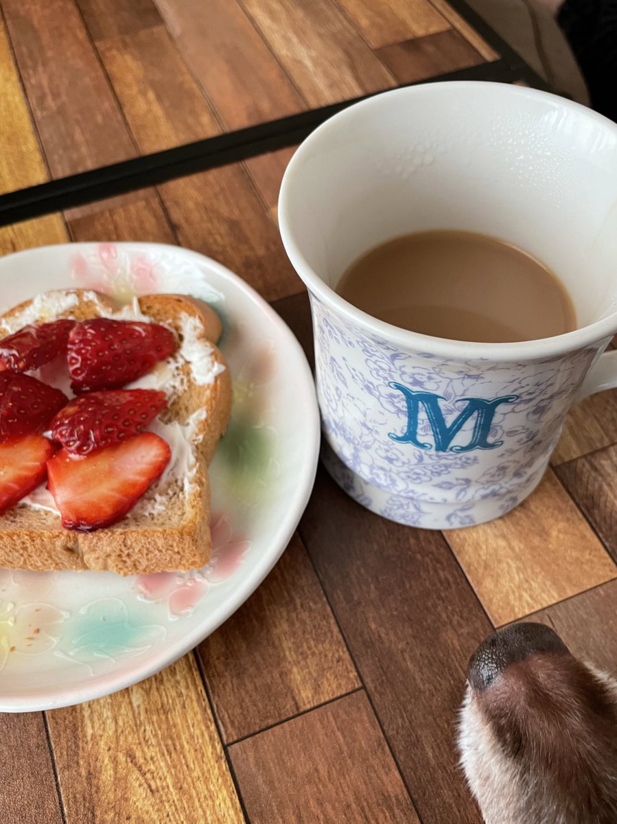 0822mkk's tweet photo. グッドモーニング湘南

浜で飲みタイガー🐯☕️

湘南の海、桜貝を集めてみたいです

#バイザシー https://t.co/DoYRoLDK51