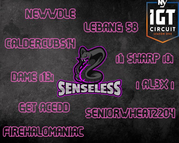 SenselessNHL's tweet photo. Final Roster for 🐍 Senseless 🐍 for the @IslesGT IGT Circuit presented by @leaguegaming starting Jan 31st 🎉

#IGT #LGI #Isles #NHL22 @firehalomaniac @l1lSharpl0l https://t.co/82paAzcs6A