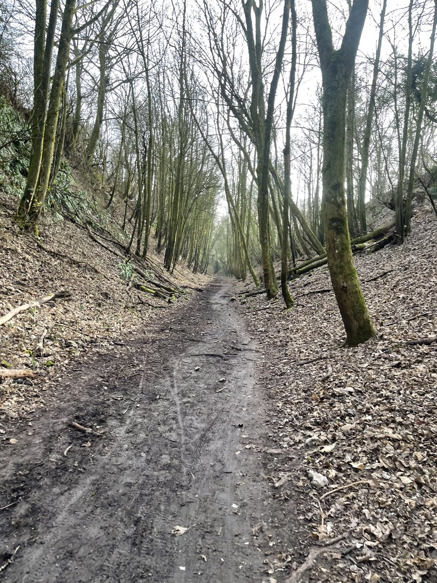 Rai9190's tweet photo. #Worthydown Route Reece🏃🏽‍♂️ https://t.co/aIlMZ2My8Z