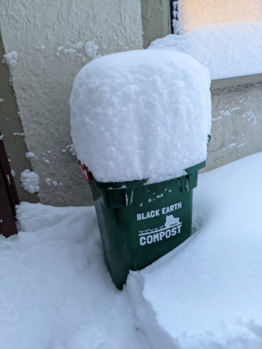RebeccaWPerry's tweet photo. A little bit of snow here in Brookline! @BlackEarthMA https://t.co/Vg50s5X7t4