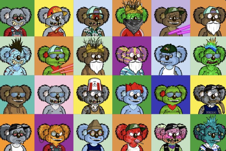 Matyb23's tweet photo. @garyvee @DropBearsio 💎🐨🇦🇺👀 https://t.co/JpC6VNpSAf