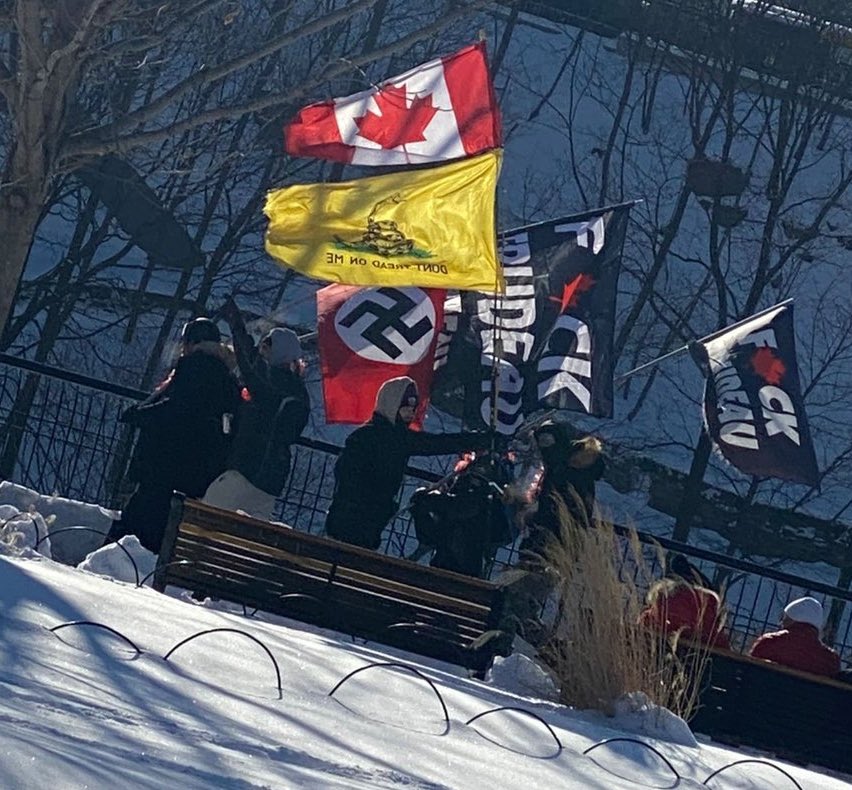 Clay Thompson. tweet media