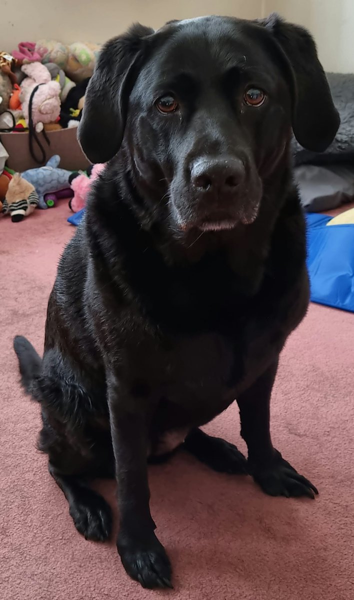 SmallScottish's tweet image. The difference 2 years can make ❤️