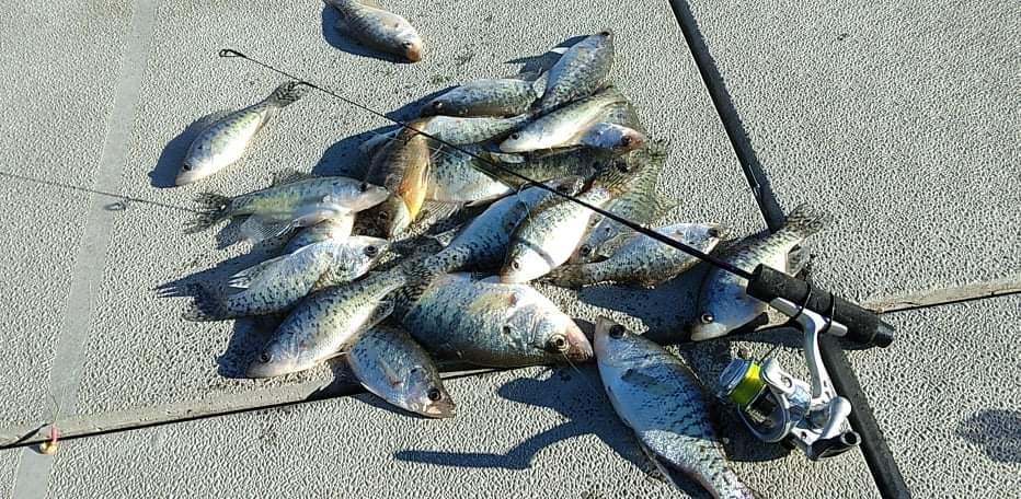 jdoc1991's tweet photo. #Limitedout #today on #crappie, only 2 #bluegills wanted to #play. #LyleStokesicefishingrods https://t.co/tXmtRNtB2k