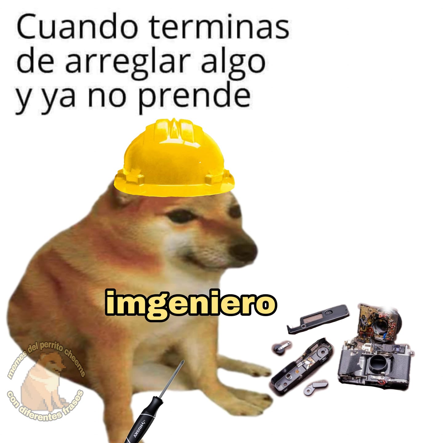 Memes De Perrito Llorando Perrito Triste