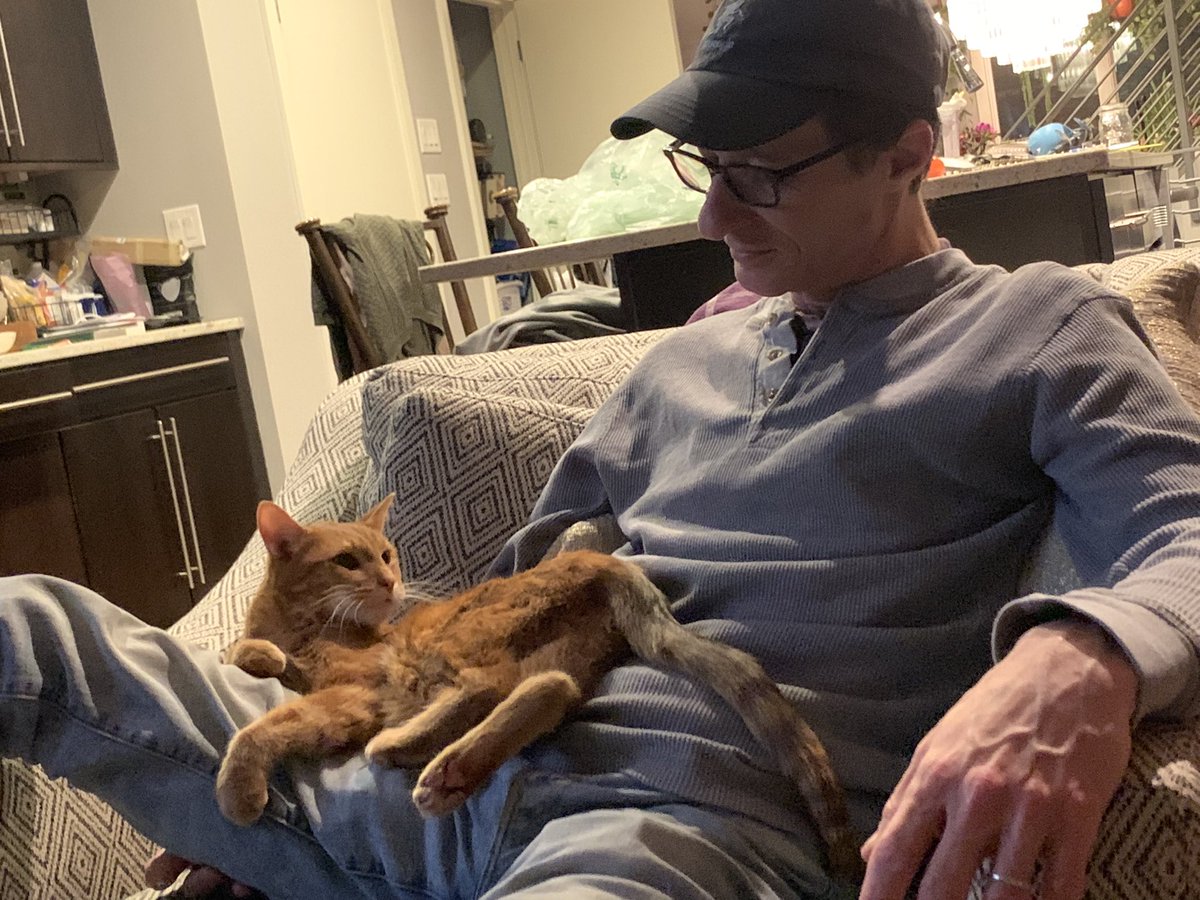 saragoldrickrab's tweet photo. These two!

#PellCat https://t.co/jdaKlGwyox
