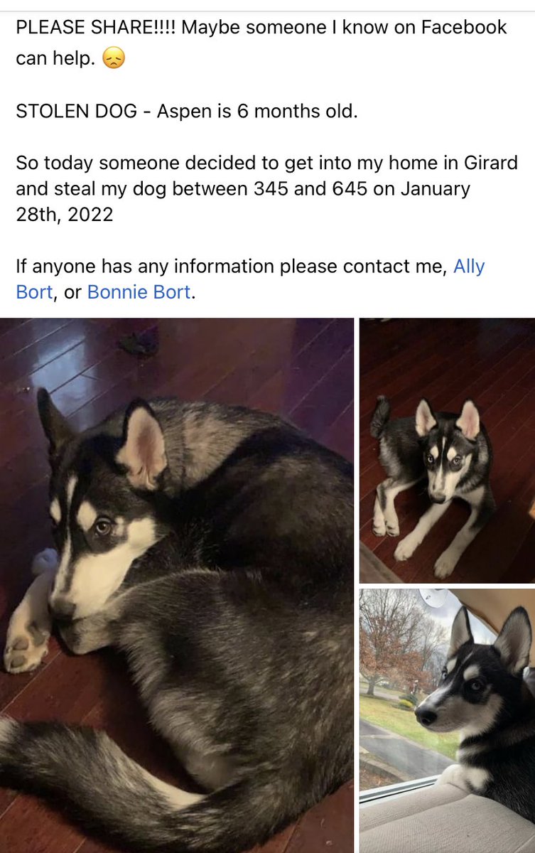 _allison99_'s tweet photo. Please help bring my baby home 😭 https://t.co/myl8jVR7RS