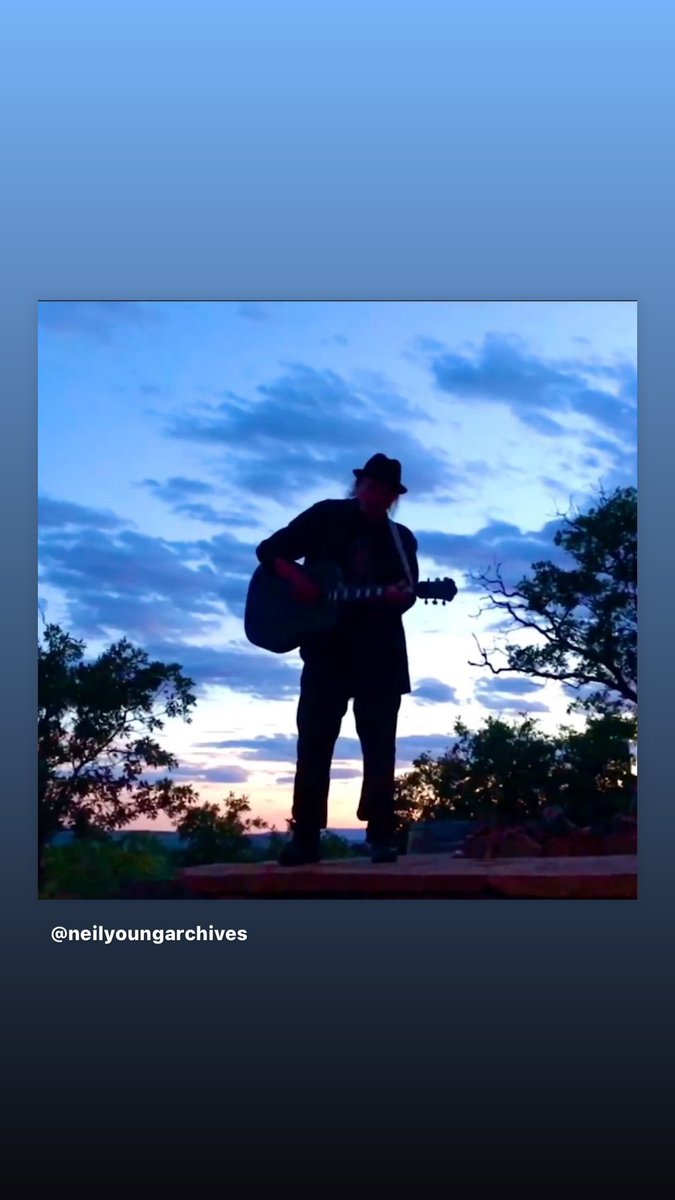 Amy Aiello Lofgren tweet media