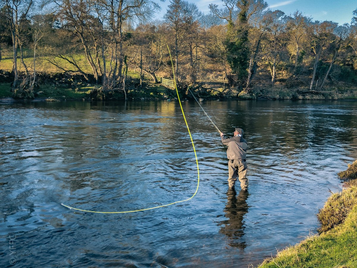 YFFC1884's tweet photo. One of our members searching for the elusive springer on one of our beautiful River Eden beats in Cumbria. #salmonfishing #cumbria #rivereden #springsalmon #yffc #riveredensalmon #springsalmonfishing https://t.co/ciweXyp0Vr