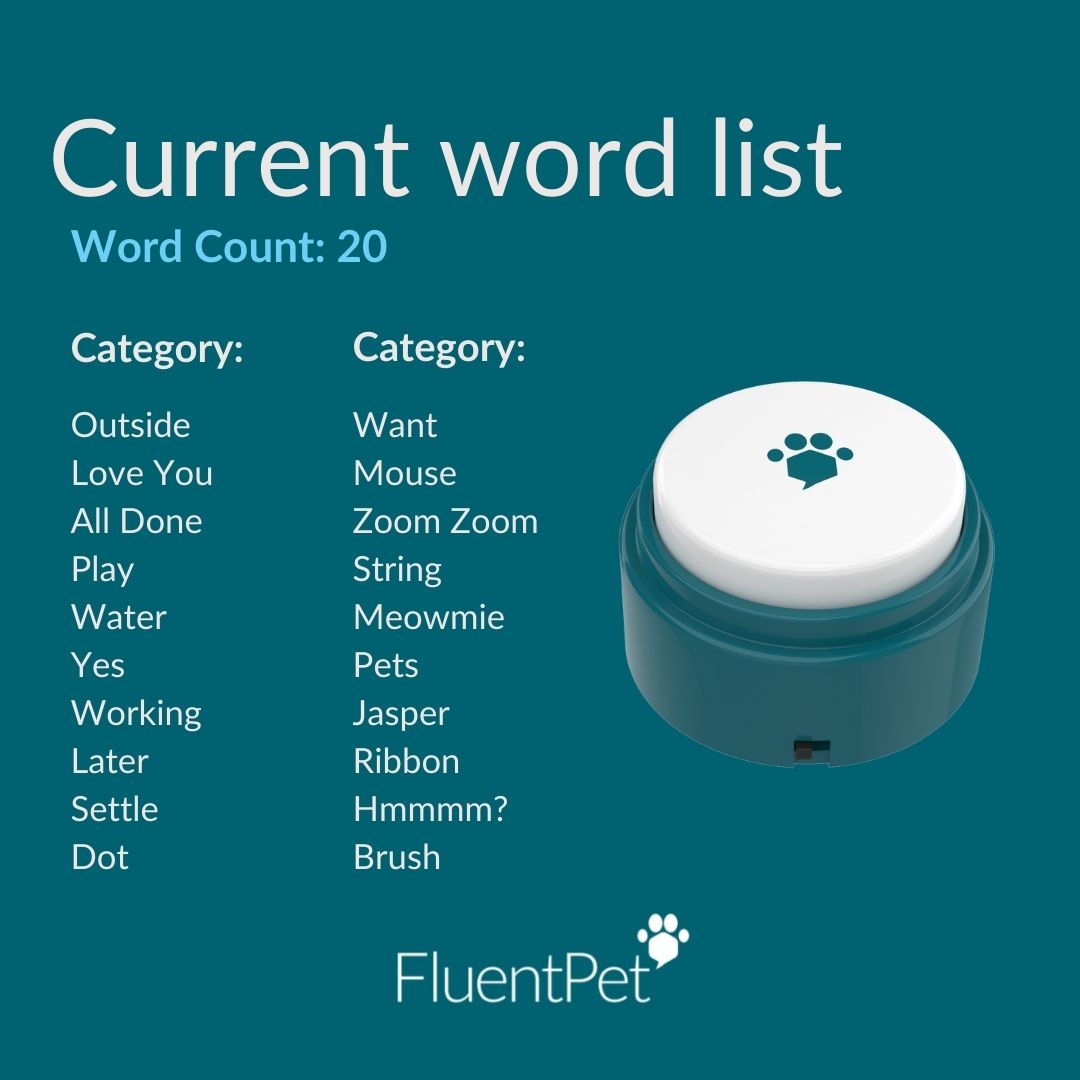 JasTalkingCat's tweet photo. Meet Jasper the talking cat.  He's up to 20 words so far and learning more each day!  Thank you @FluentPet for helping us on this journey.  

Purchase your own Fluent Pet buttons here: 
https://t.co/cgkKR86CdJ
May receive commissions from purchases made via this link.  Thank you! https://t.co/tgVfEqSakK