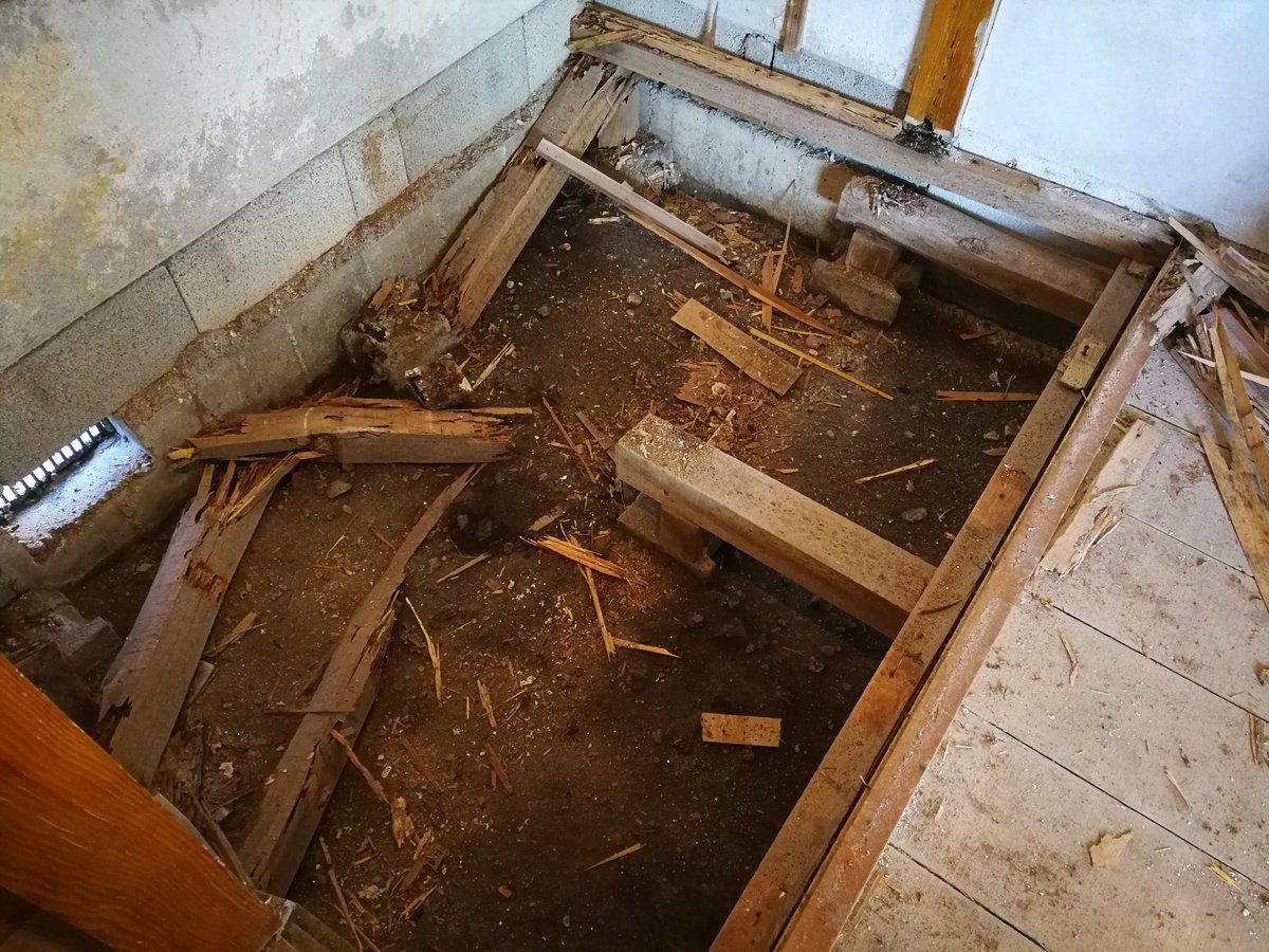 hiro_shimada's tweet photo. 1/22 床解体
どこまで壊すものか様子見しながら徐々に解体。期待どおりの腐食・シロアリ具合。
#解体 #工具
#空き家  #リノベーション #DIY #伊那谷 #南信州 #飯島町 #長野県 #コワーキングスペース #ライブラリー #本 #古材 #古家具 #セカンドハウス #田舎暮らし #テレワーク #2拠点生活 #空き家Toka https://t.co/b8lBffBrP7