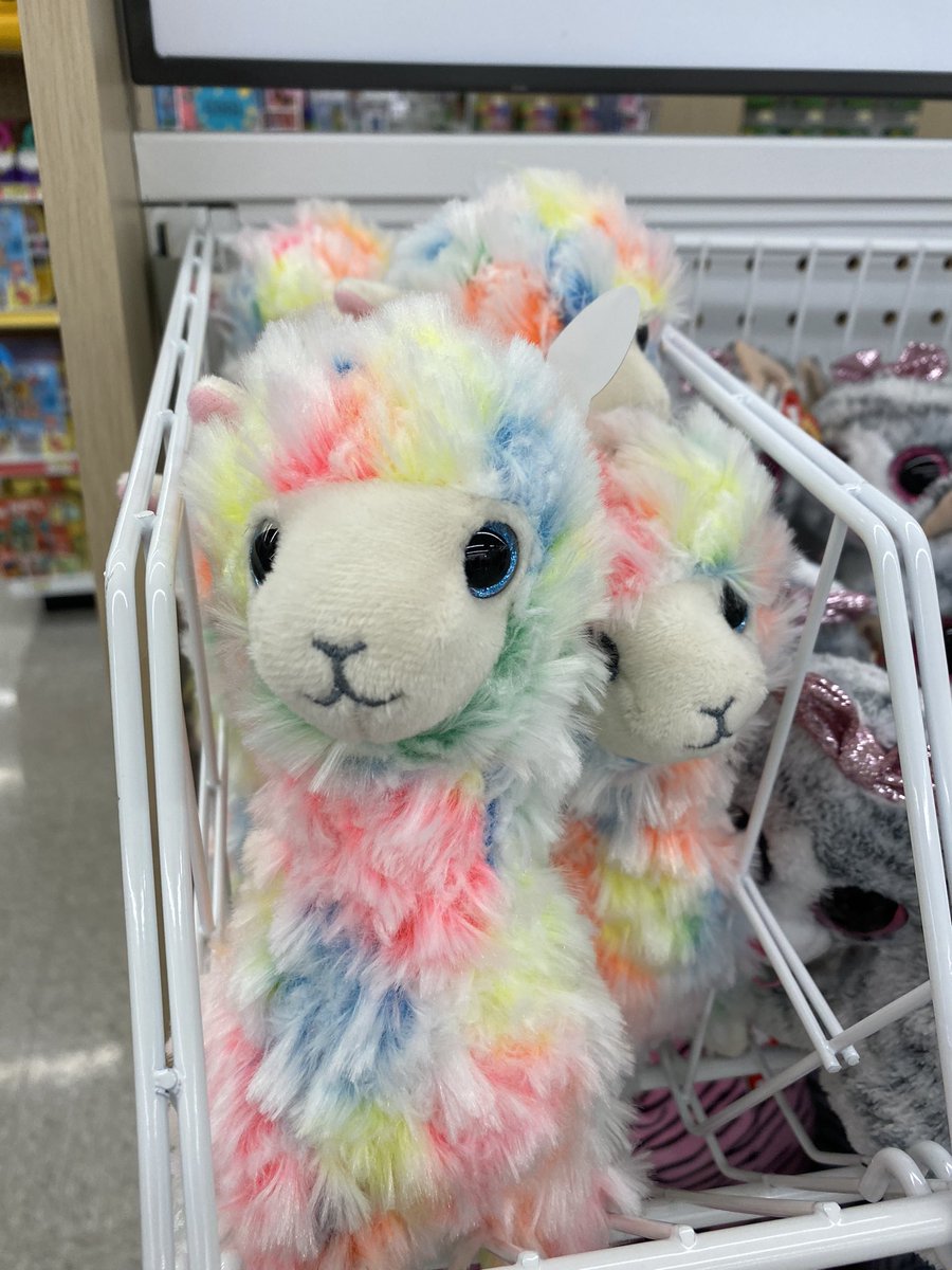 a2nurse99's tweet image. i tried to talk the #Blitzlets into this, but no go