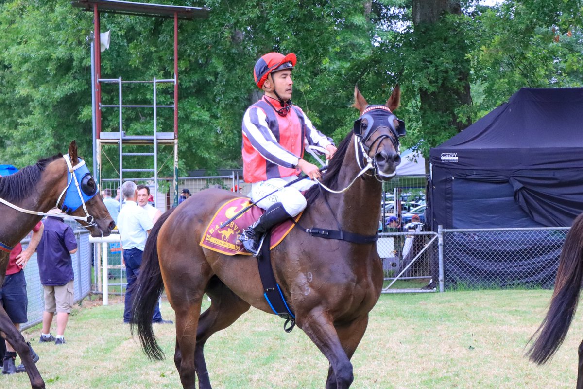 Picnic Racing tweet media