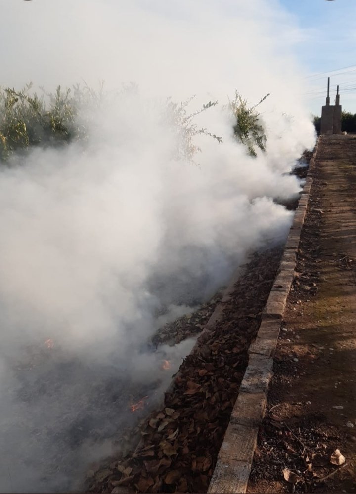 Caquis-Albaricoques tweet media