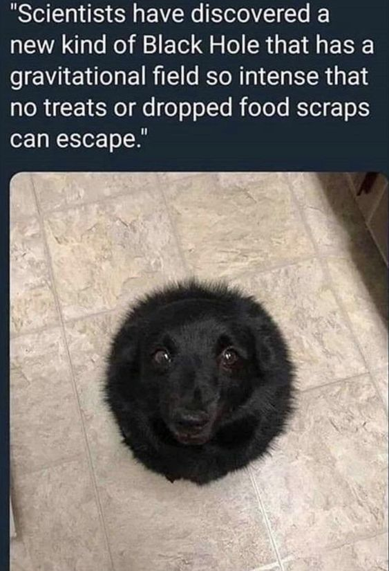 WholesomeMeme's tweet photo. https://t.co/1BuACmkLQK