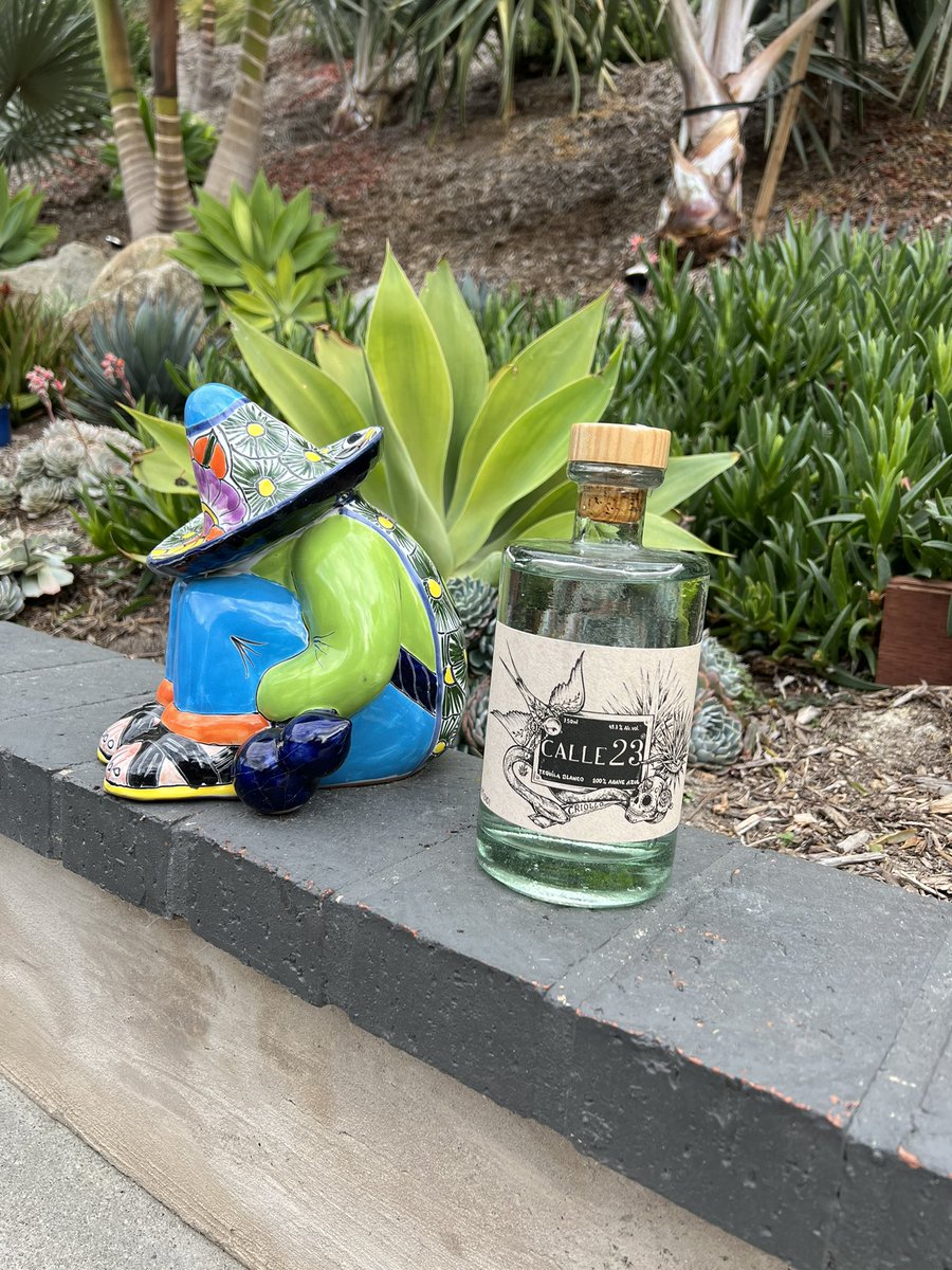 Big blanco fan and this is one of the best ever. Crack it with some fellow tequila lovers <a href="/Calle24_oficial/">Calle 24.</a> #tequila