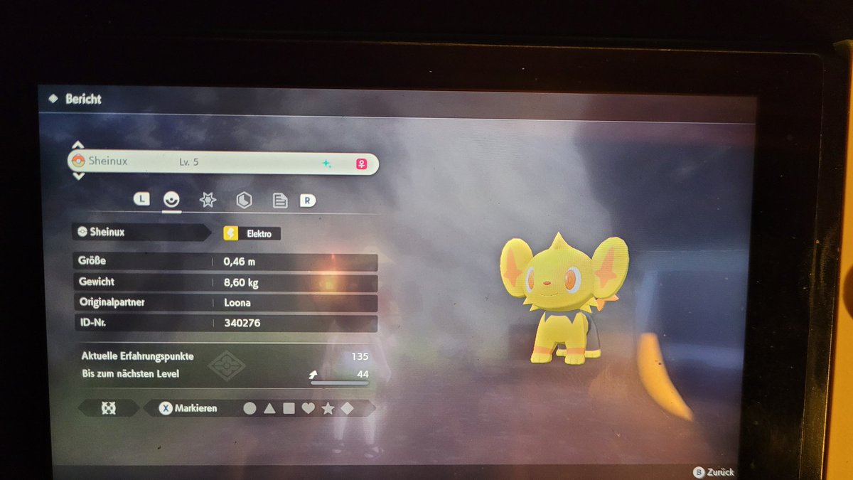 PrinzessinLoona's tweet photo. Mein erstes zufälliges shiny 😂 #PokemonLegendenArceus https://t.co/d3piOSVwiv