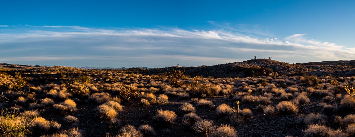 Photojeeper's tweet photo. I like to create panoramas of some of the big scenes, early afternoon and low hills around mile 53+ of the 1st Segment of EMHT.
#jeep #mojave #mojavepreserve #emht
#photography #photographytalk #nikon 
#overland #overlanding #overlanding4x4 https://t.co/cBOkTnE3lT